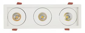 BIZZ 12-3 Recessed Ceiling Luminaires Dlux Multi-Head Recess Ceiling BIZZ 12-3 Recessed Ceiling Luminaires Dlux Multi-Head Recess Ceiling